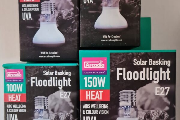 Arcadia Solar Basking Floodlight